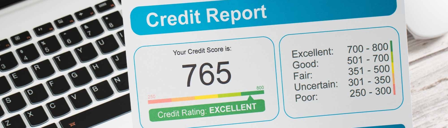report credit score banking borrowing application risk form-1